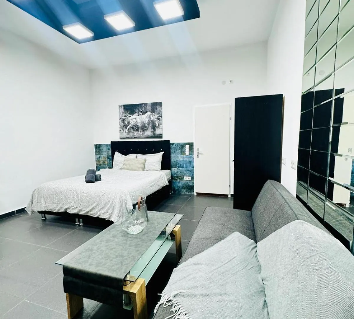 Studio Apartment For 3 People, 15 Minutes To Rathausplatz Vienna